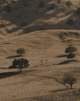 Image full of hills of dead brown grass, with a smattering of dark brown trees.